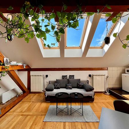 Captain Misha'S Place Belgrad Zewnętrze zdjęcie