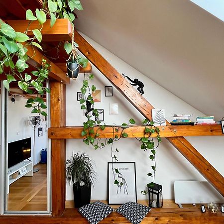 Captain Misha'S Place Belgrad Zewnętrze zdjęcie