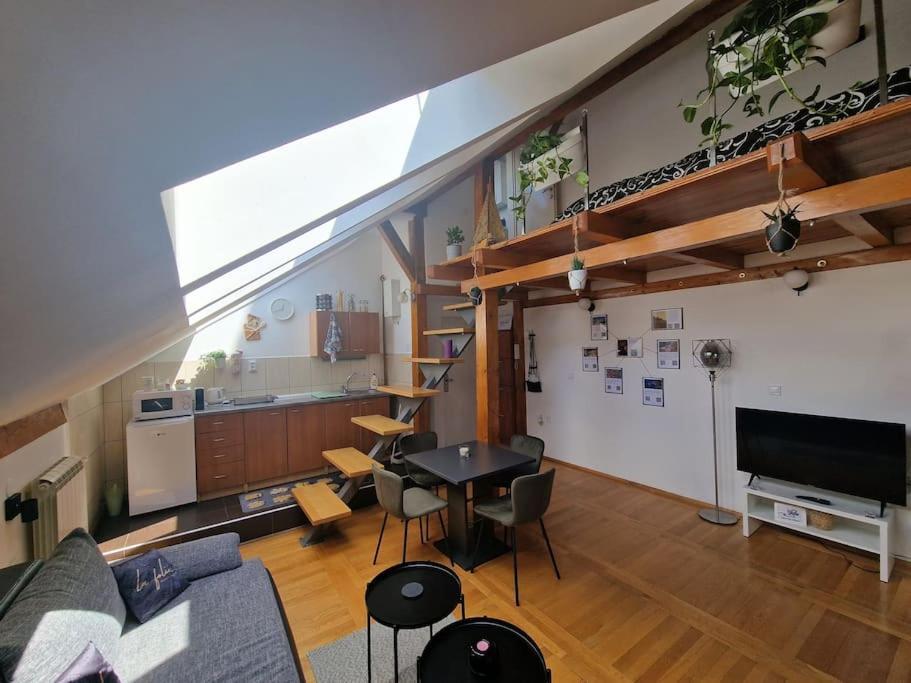 Captain Misha'S Place Belgrad Zewnętrze zdjęcie