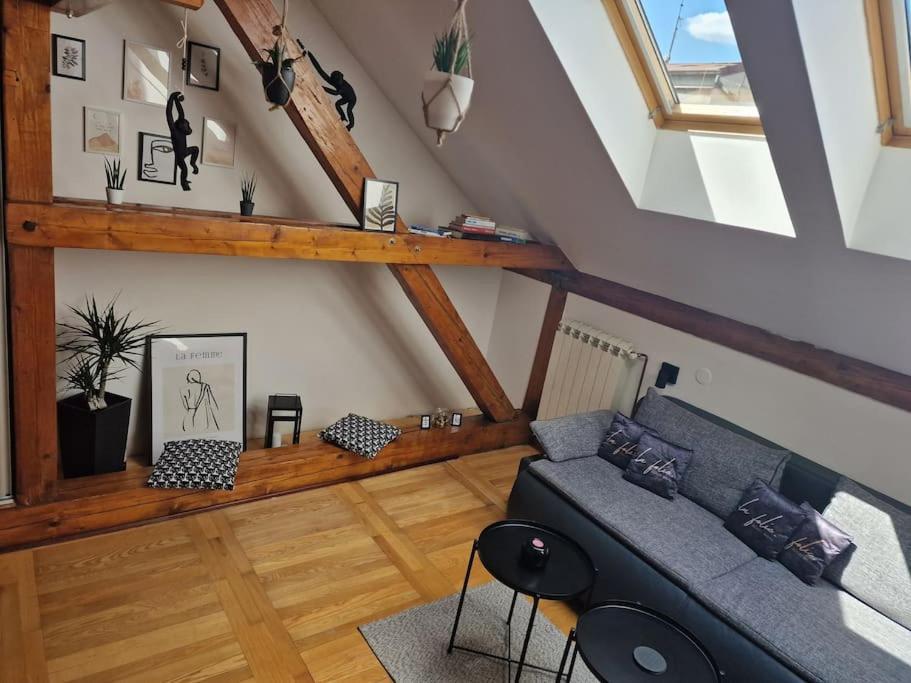 Captain Misha'S Place Belgrad Zewnętrze zdjęcie