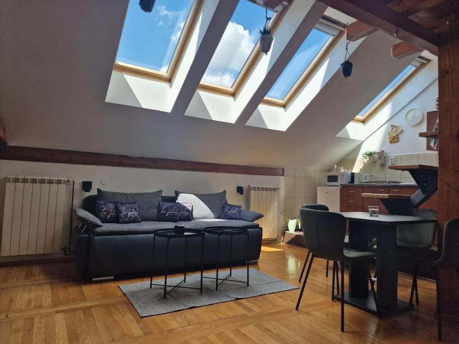 Captain Misha'S Place Belgrad Zewnętrze zdjęcie