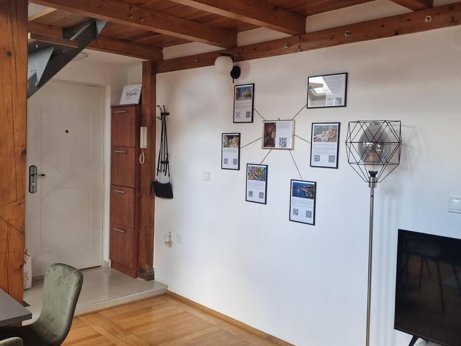 Captain Misha'S Place Belgrad Zewnętrze zdjęcie