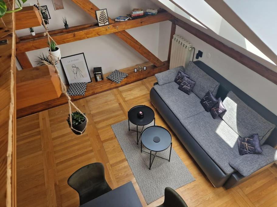 Captain Misha'S Place Belgrad Zewnętrze zdjęcie