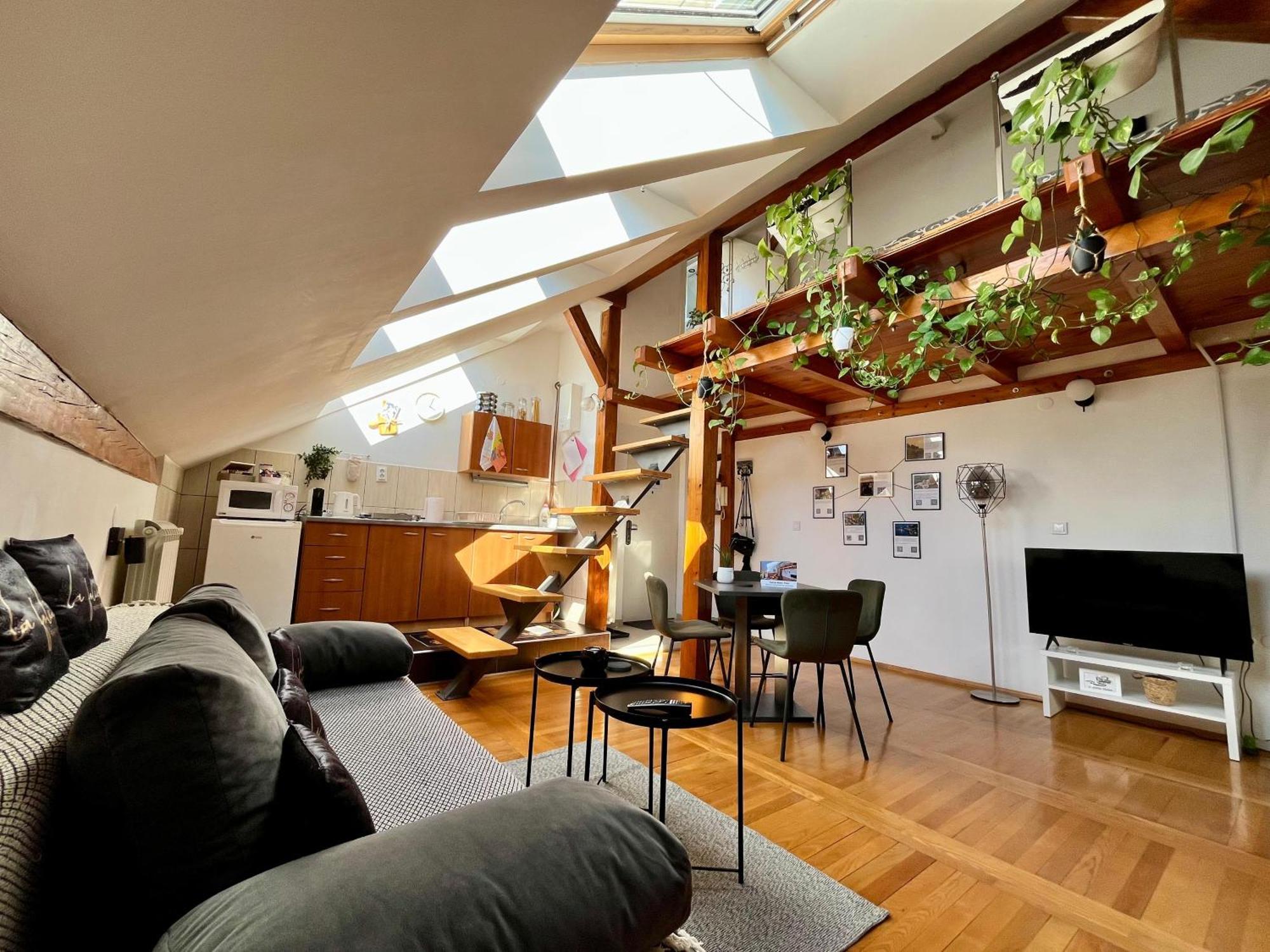 Captain Misha'S Place Belgrad Zewnętrze zdjęcie