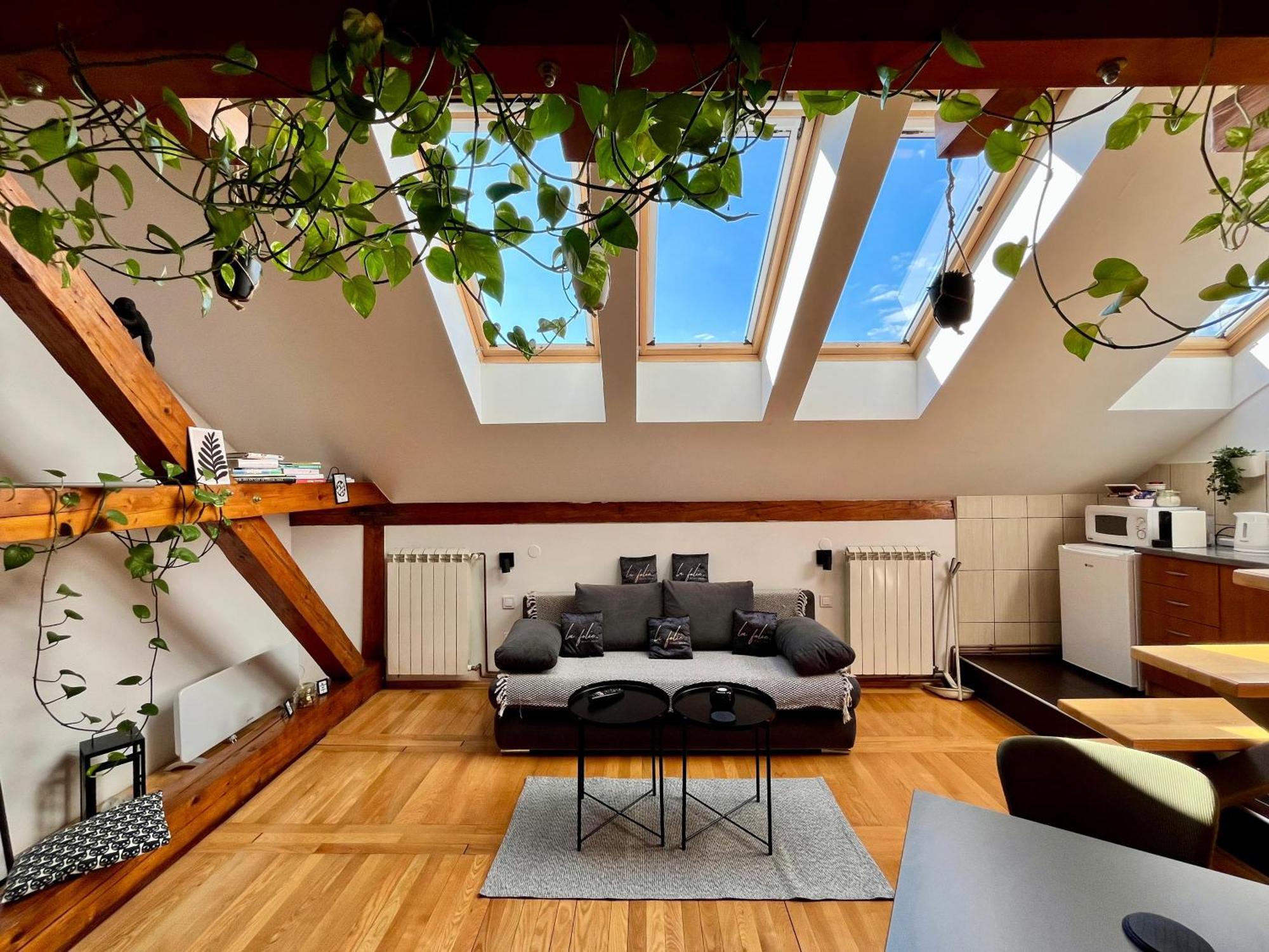 Captain Misha'S Place Belgrad Zewnętrze zdjęcie