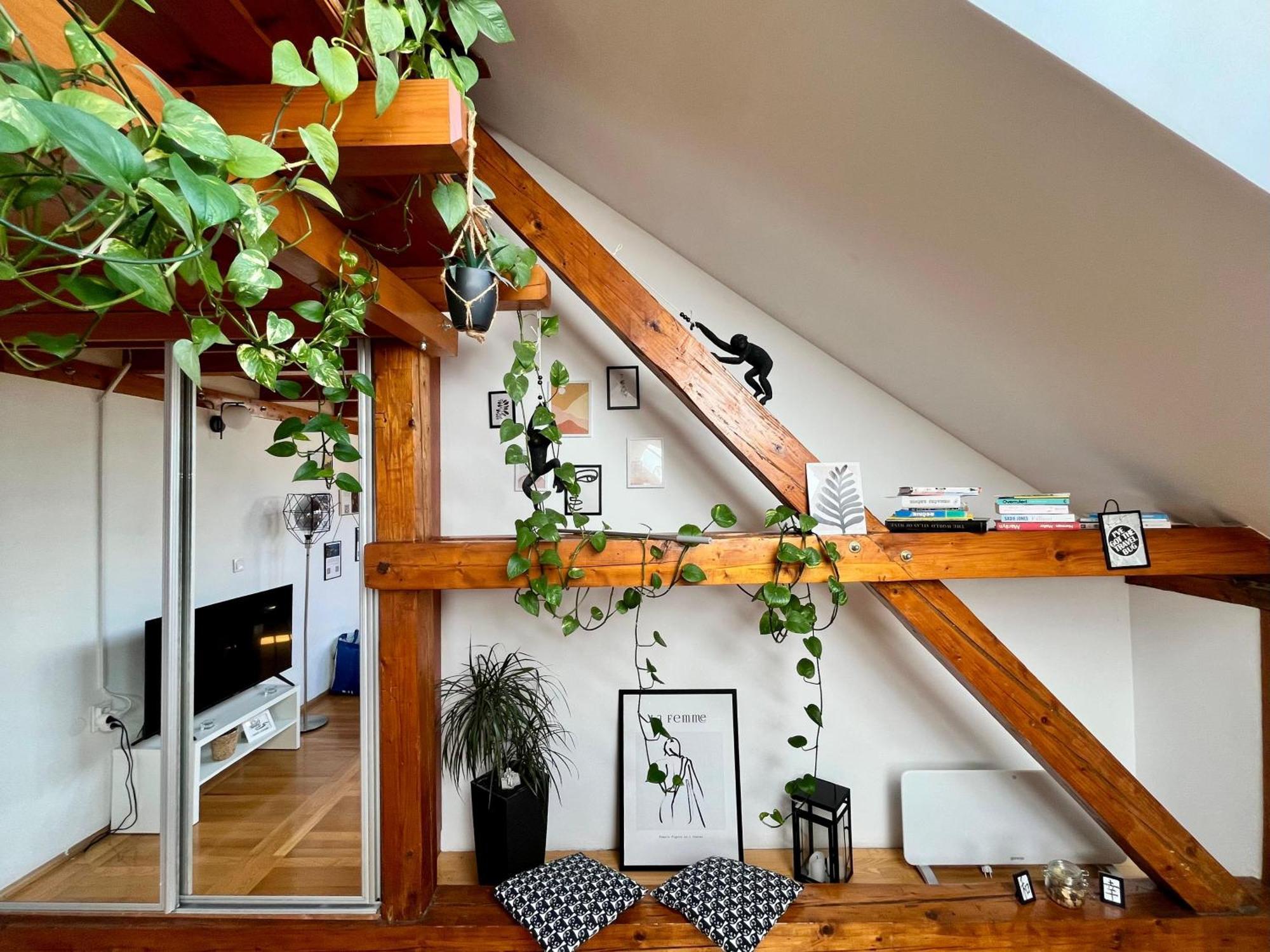Captain Misha'S Place Belgrad Zewnętrze zdjęcie