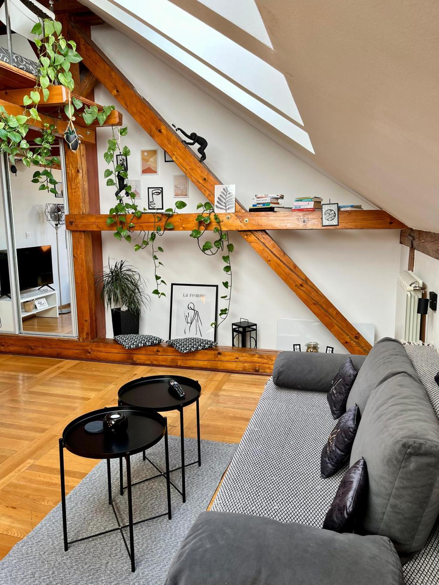 Captain Misha'S Place Belgrad Zewnętrze zdjęcie